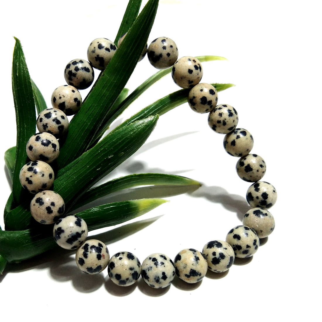 Dalmation Jasper Bracelet Beads Stone, Natural Dalmation Jasper Healing Men & Women Round Bracelet, Size 8x8 mm Gift Easter day Bracelet