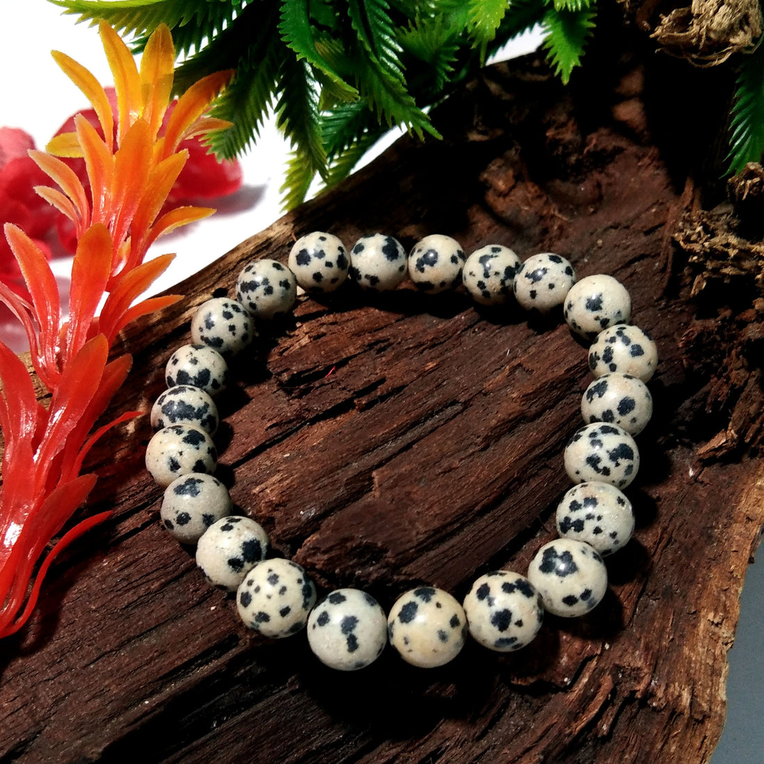Dalmation Jasper Bracelet Beads Stone, Natural Dalmation Jasper Healing Men & Women Round Bracelet, Size 8x8 mm Gift Easter day Bracelet