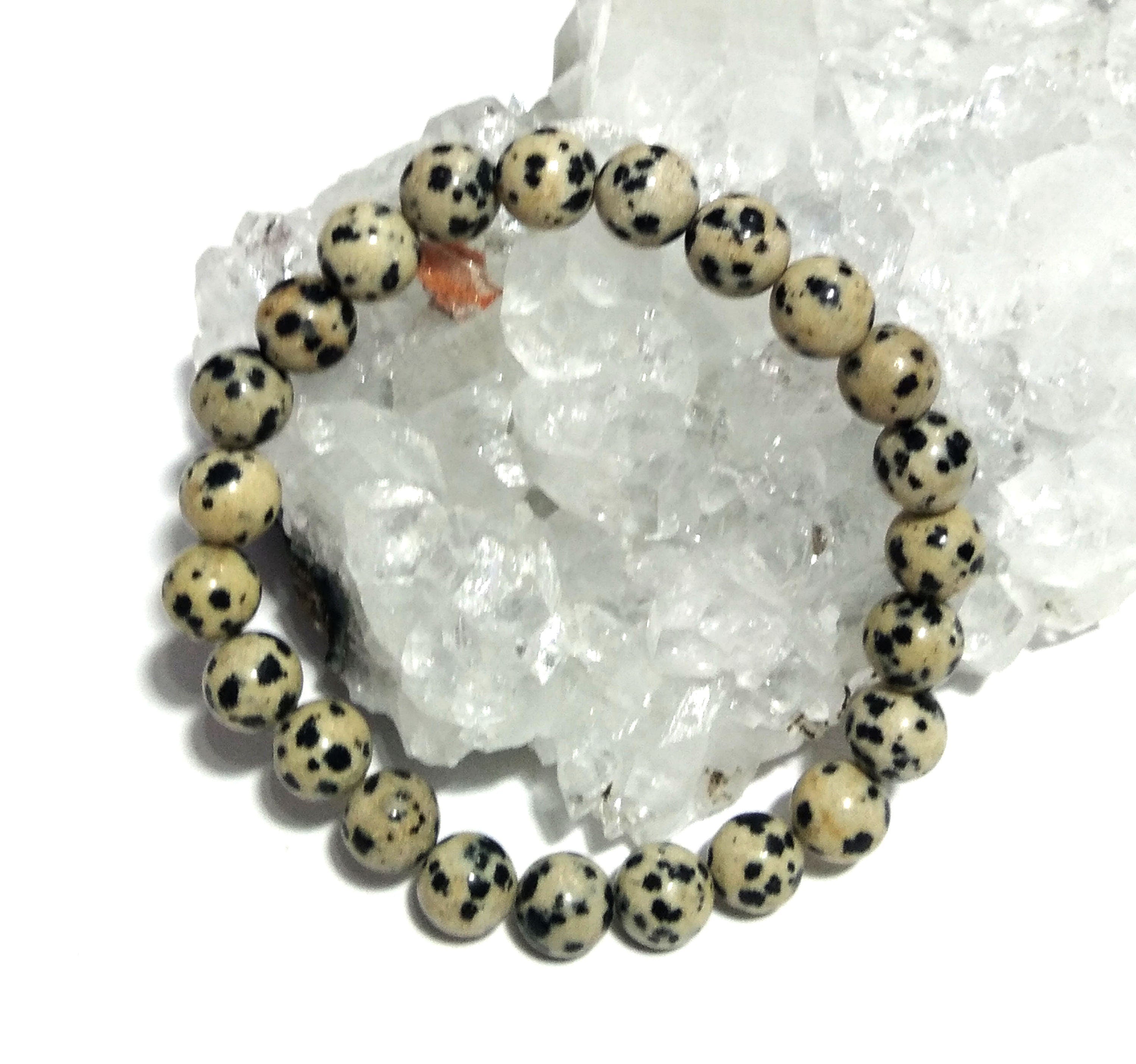 Dalmation Jasper Bracelet Beads, Natural Dalmation Jasper Healing Men & Women Round Bracelet, Stone Size 8x8 mm Gift Easter day Bracelet