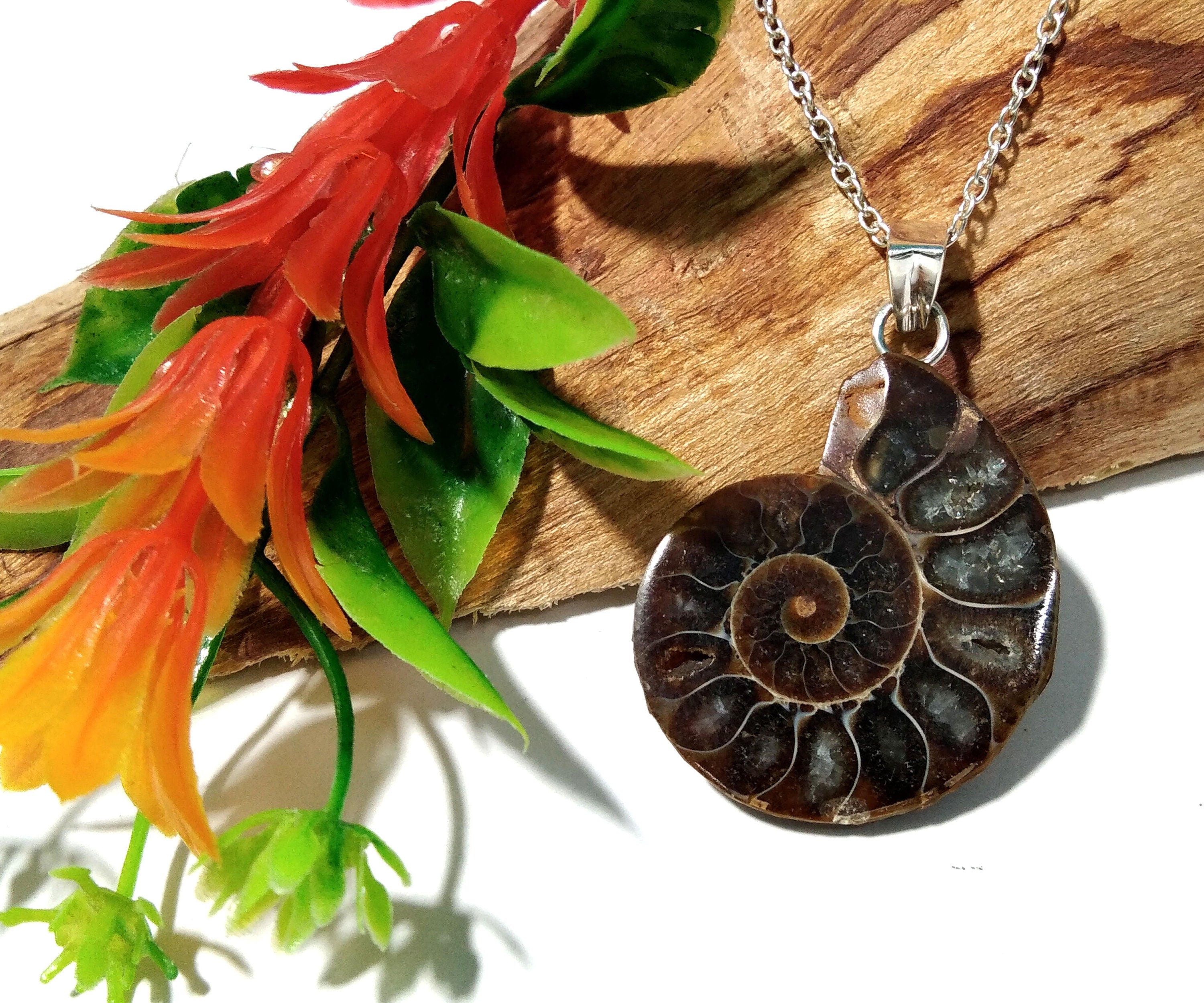 Natural Ammonite Fossil Stone Pendant Chain Necklace, 925 Starling Silver Pendant Jewelry, Ammonite Fossil Pendant, Pendant For Gift Pendant