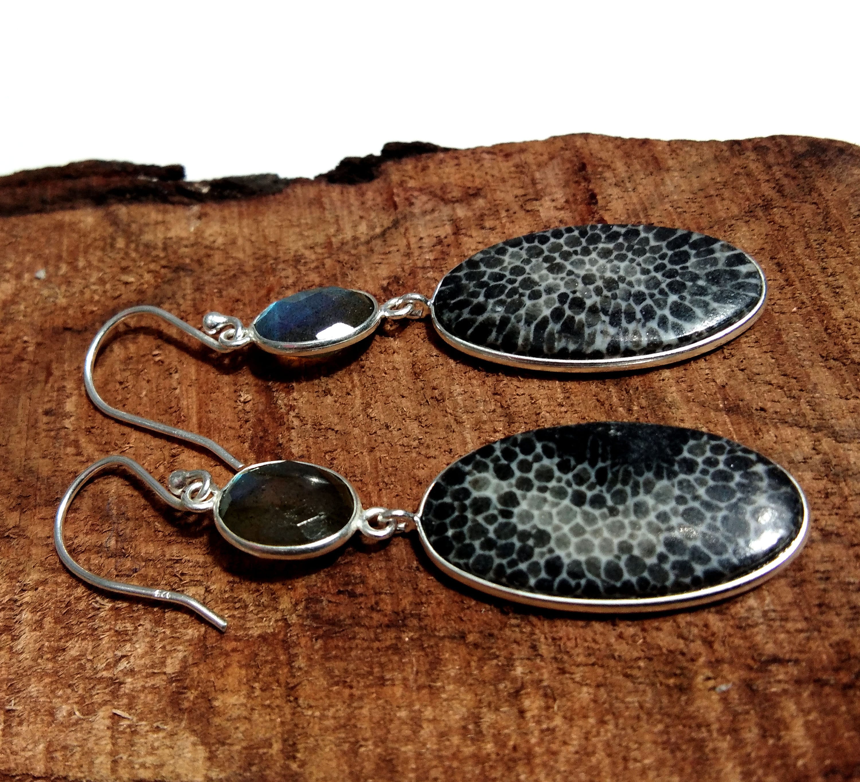 Fossil Coral & Labradorite Earring, 925 Sterling Silver Jewelry, Natural Gemstone Earring, Handmade Earring, For Gift Christmas
