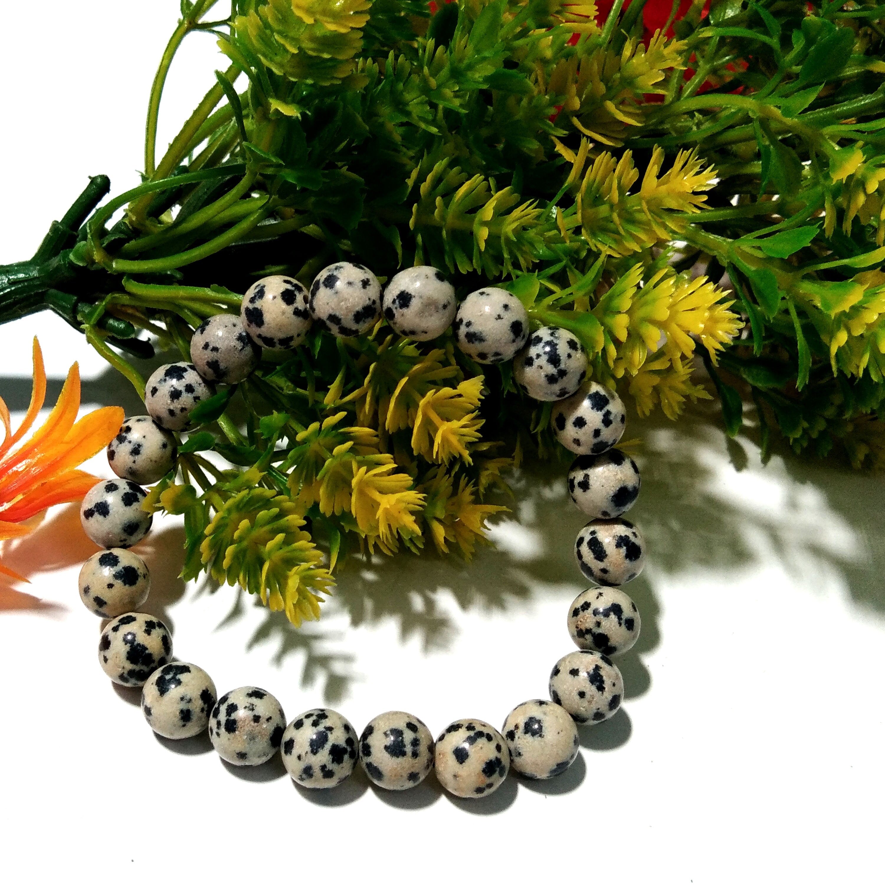Dalmation Jasper Bracelet Beads Stone, Natural Dalmation Jasper Healing Men & Women Round Bracelet, Size 8x8 mm Gift Easter day Bracelet