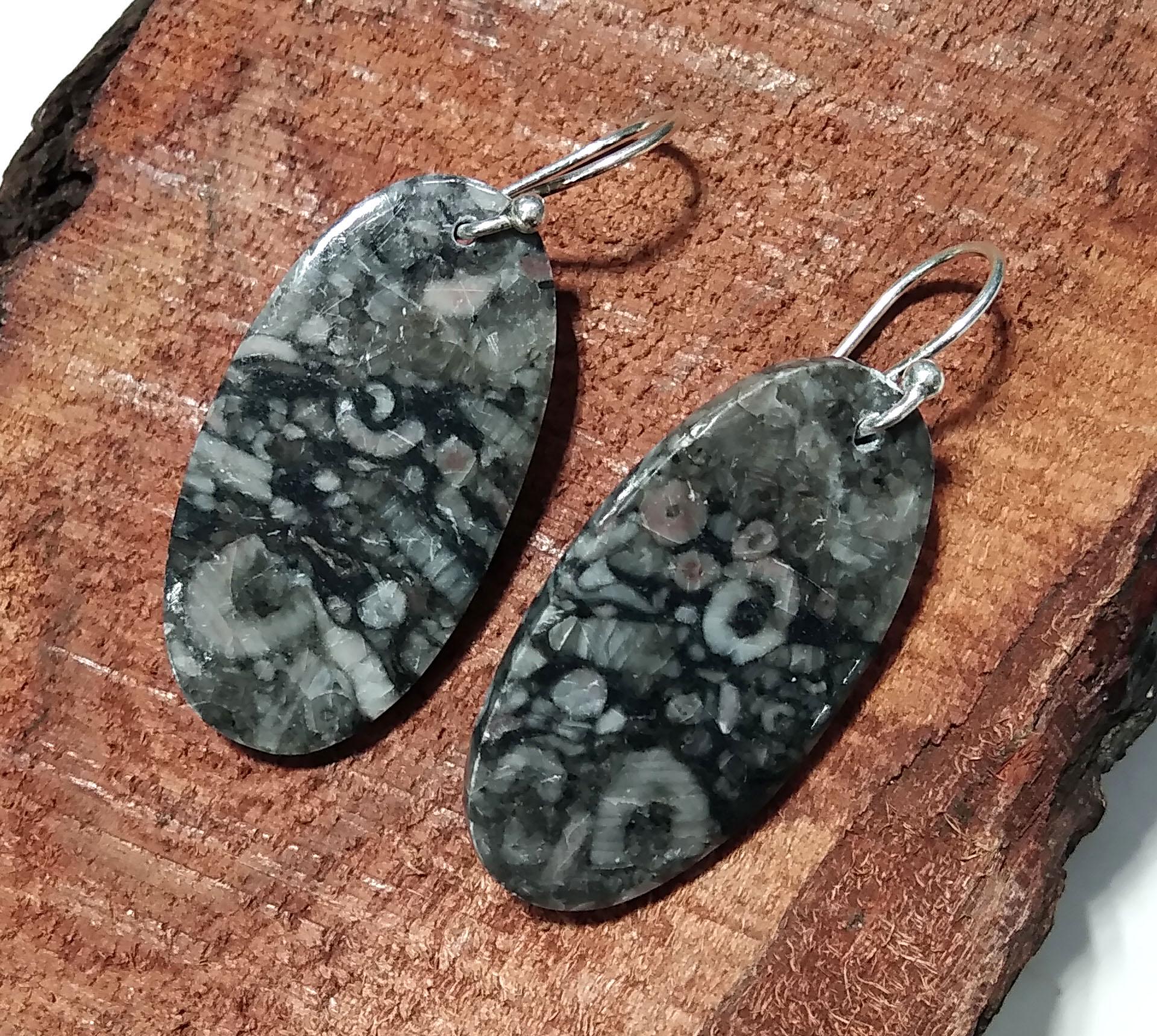 Natural Crinoid Fossil Gemstone Earring, 925 Sterling Silver Earring, Very Beautiful Crinoid Fossil Stone Earring, For Girls & Women Earring