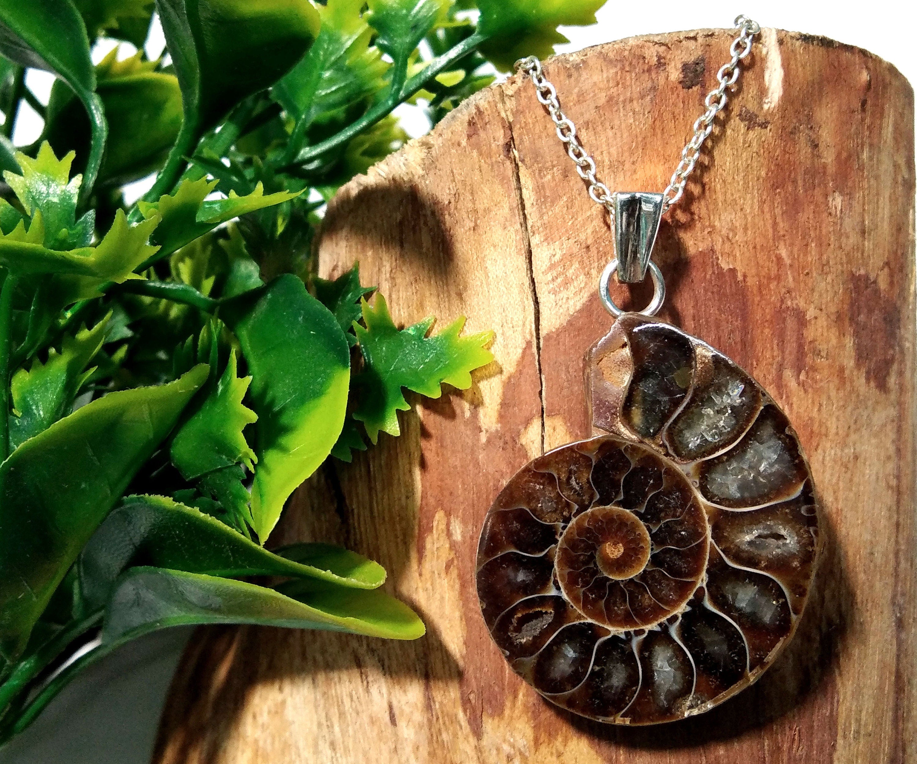 Natural Ammonite Fossil Stone Pendant Chain Necklace, 925 Starling Silver Pendant Jewelry, Ammonite Fossil Pendant, Pendant For Gift Pendant
