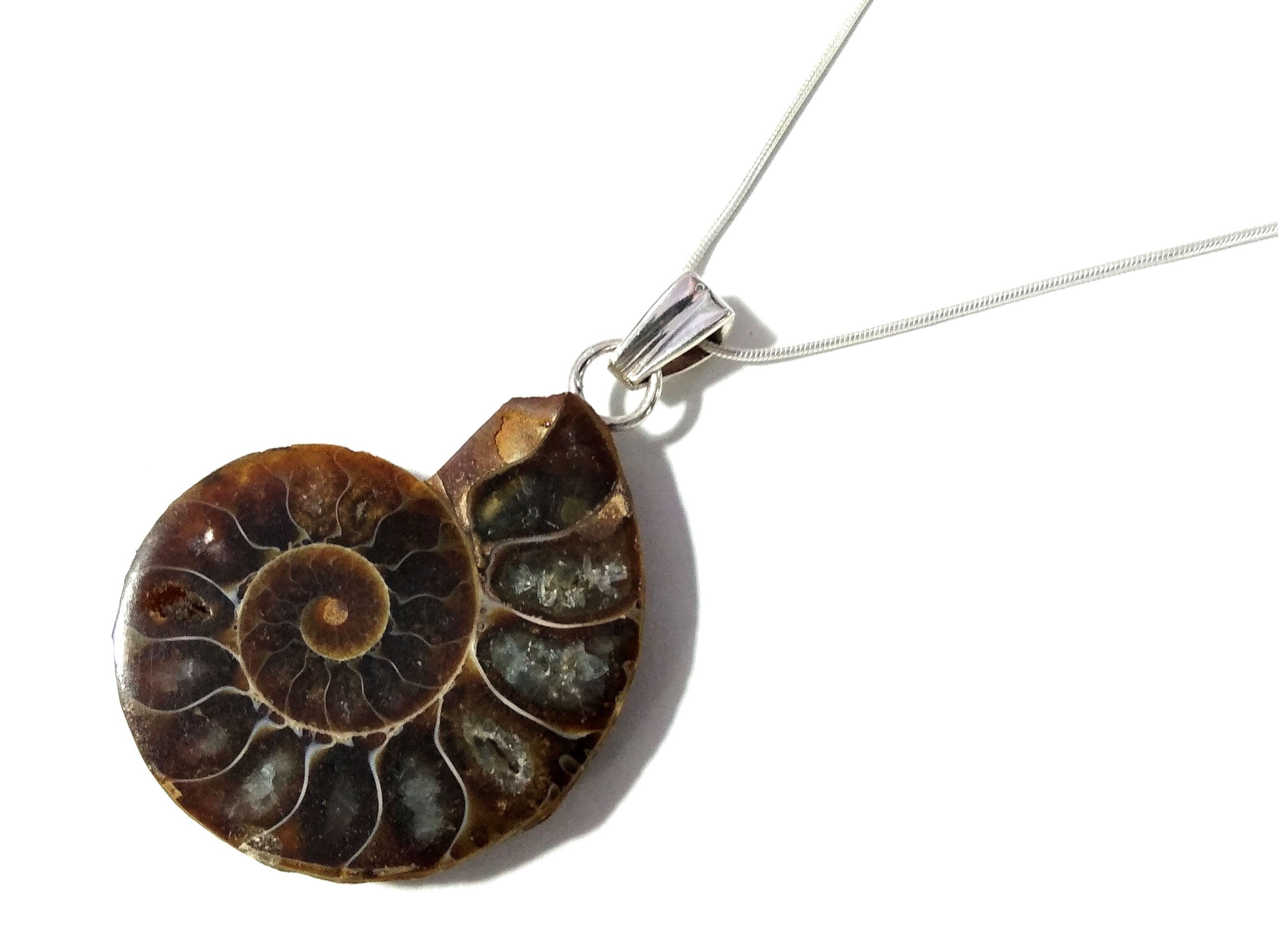 Natural Ammonite Fossil Stone Pendant Chain Necklace, 925 Starling Silver Pendant Jewelry, Ammonite Fossil Pendant, Pendant For Gift Pendant
