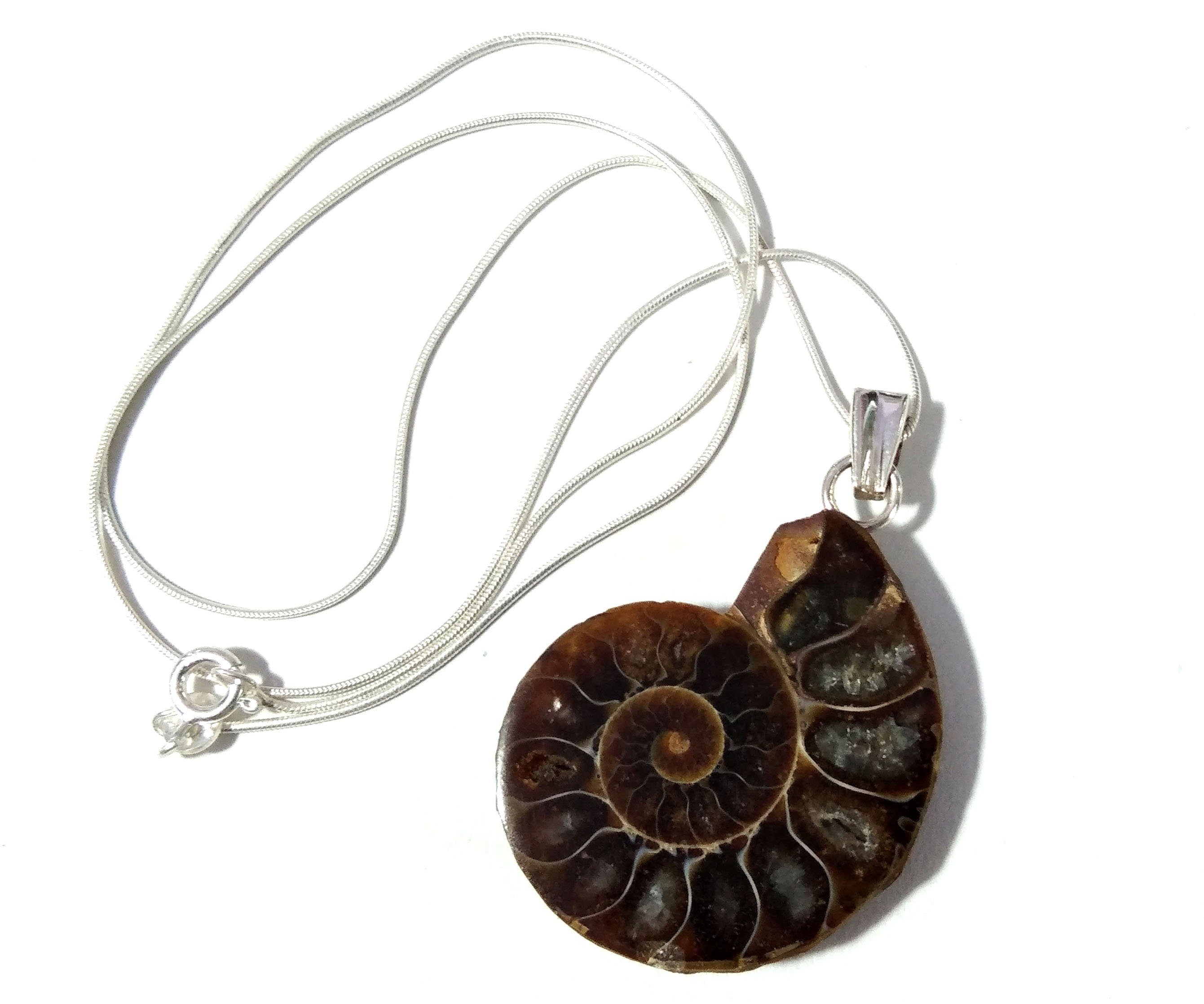 Natural Ammonite Fossil Stone Pendant Chain Necklace, 925 Starling Silver Pendant Jewelry, Ammonite Fossil Pendant, Pendant For Gift Pendant