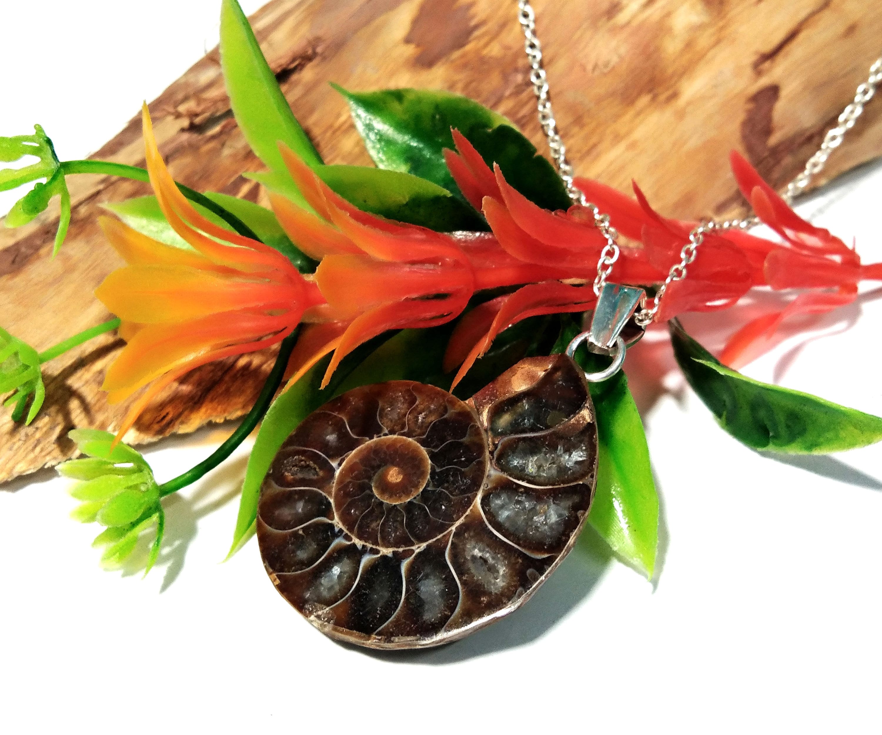 Natural Ammonite Fossil Stone Pendant Chain Necklace, 925 Starling Silver Pendant Jewelry, Ammonite Fossil Pendant, Pendant For Gift Pendant