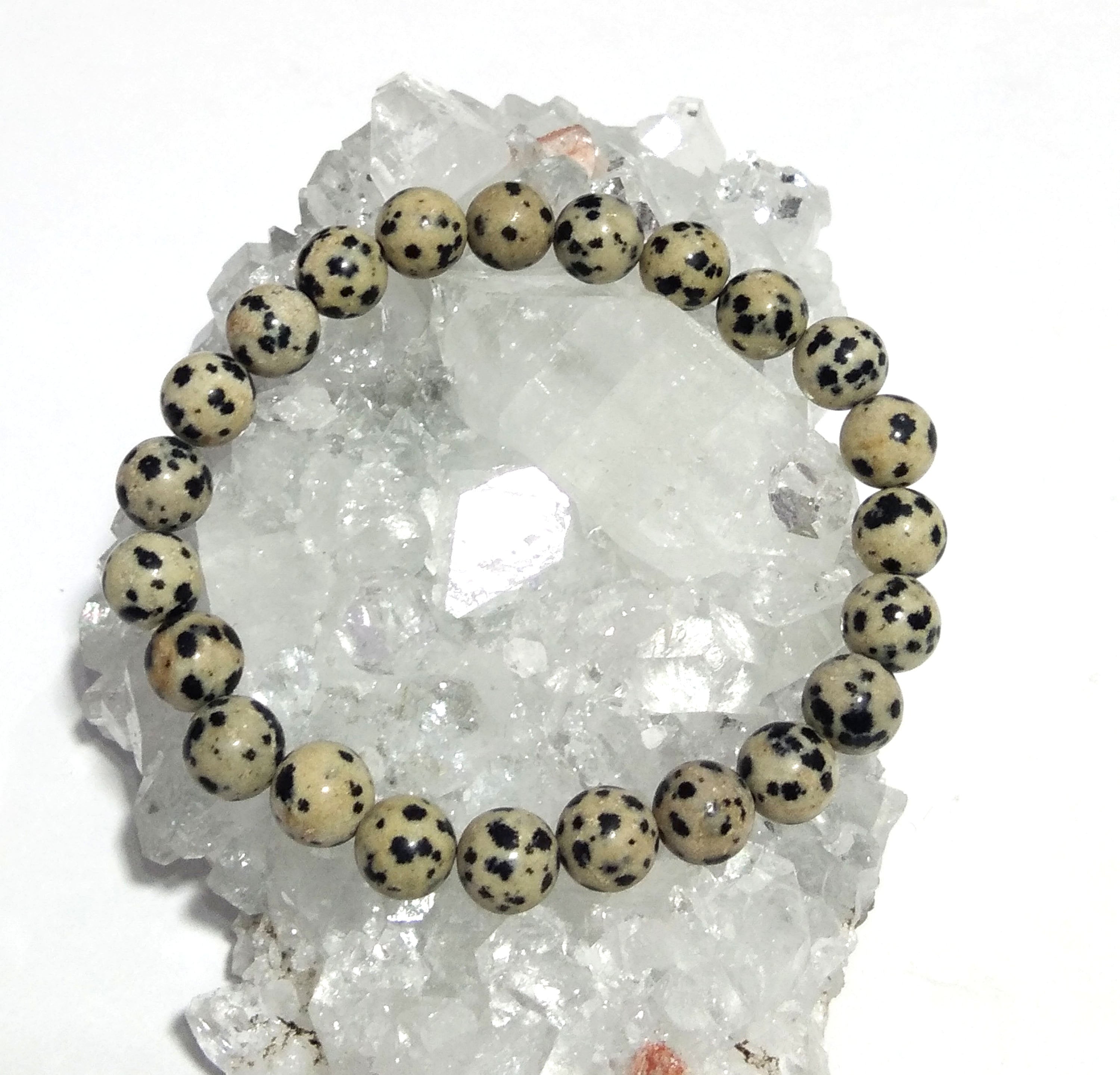 Dalmation Jasper Bracelet Beads, Natural Dalmation Jasper Healing Men & Women Round Bracelet, Stone Size 8x8 mm Gift Easter day Bracelet