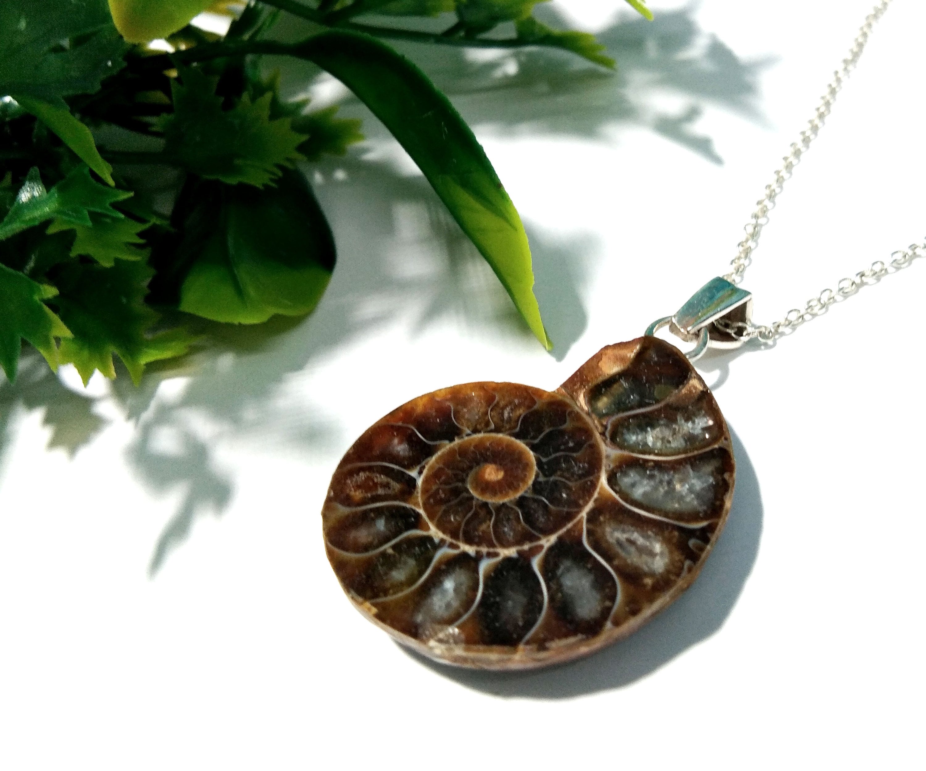 Natural Ammonite Fossil Stone Pendant Chain Necklace, 925 Starling Silver Pendant Jewelry, Ammonite Fossil Pendant, Pendant For Gift Pendant