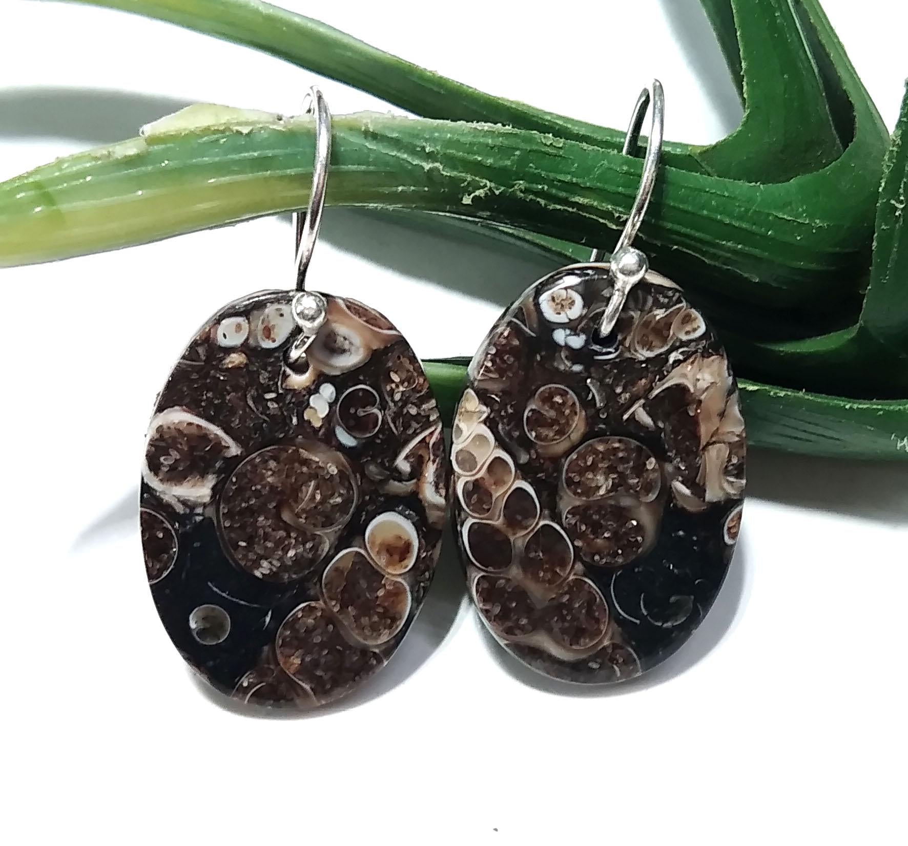 Natural Turritella Jasper Gemstone Earring, 925 Stirling Silver Earring, Very Beautiful Turritella Jasper Earring, For Girls/Women Earring